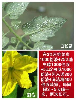 技術(shù)咨詢(xún)