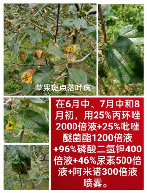 技術(shù)咨詢(xún)