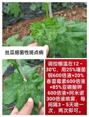 技術(shù)咨詢(xún)