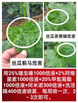 技術(shù)咨詢(xún)