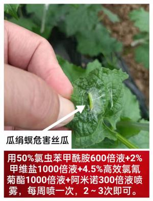 技術(shù)咨詢(xún)