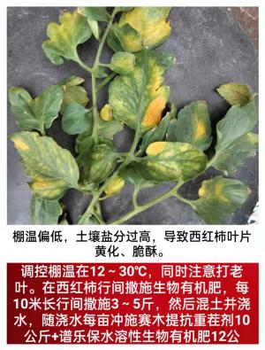 技術(shù)咨詢(xún)