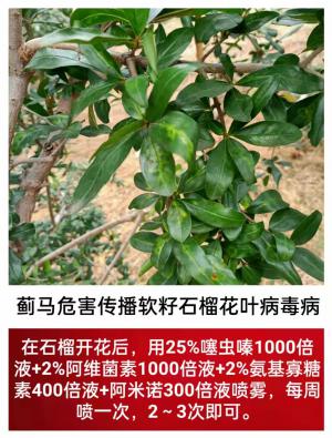 技術(shù)咨詢(xún)