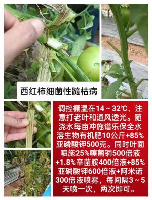 技術(shù)咨詢(xún)