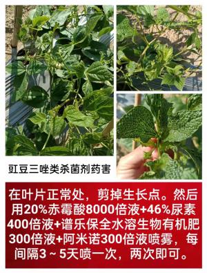 技術(shù)咨詢(xún)