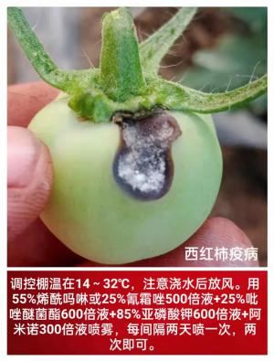 技術(shù)咨詢(xún)
