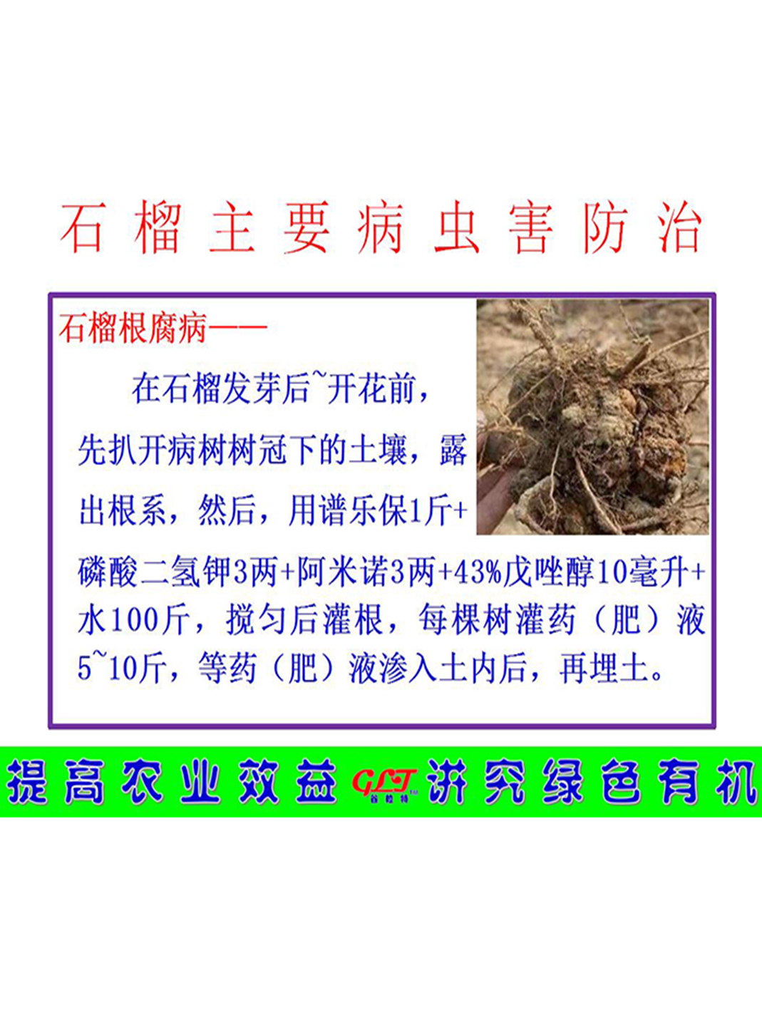 石榴主要病蟲(chóng)害防治
