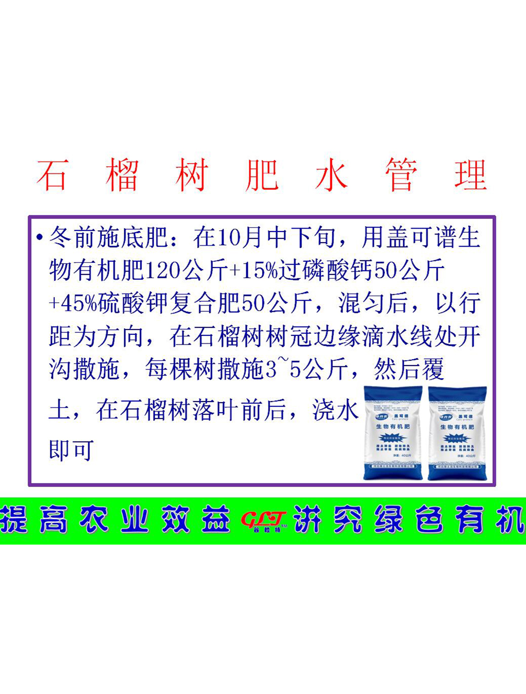 石榴樹(shù)肥水管理