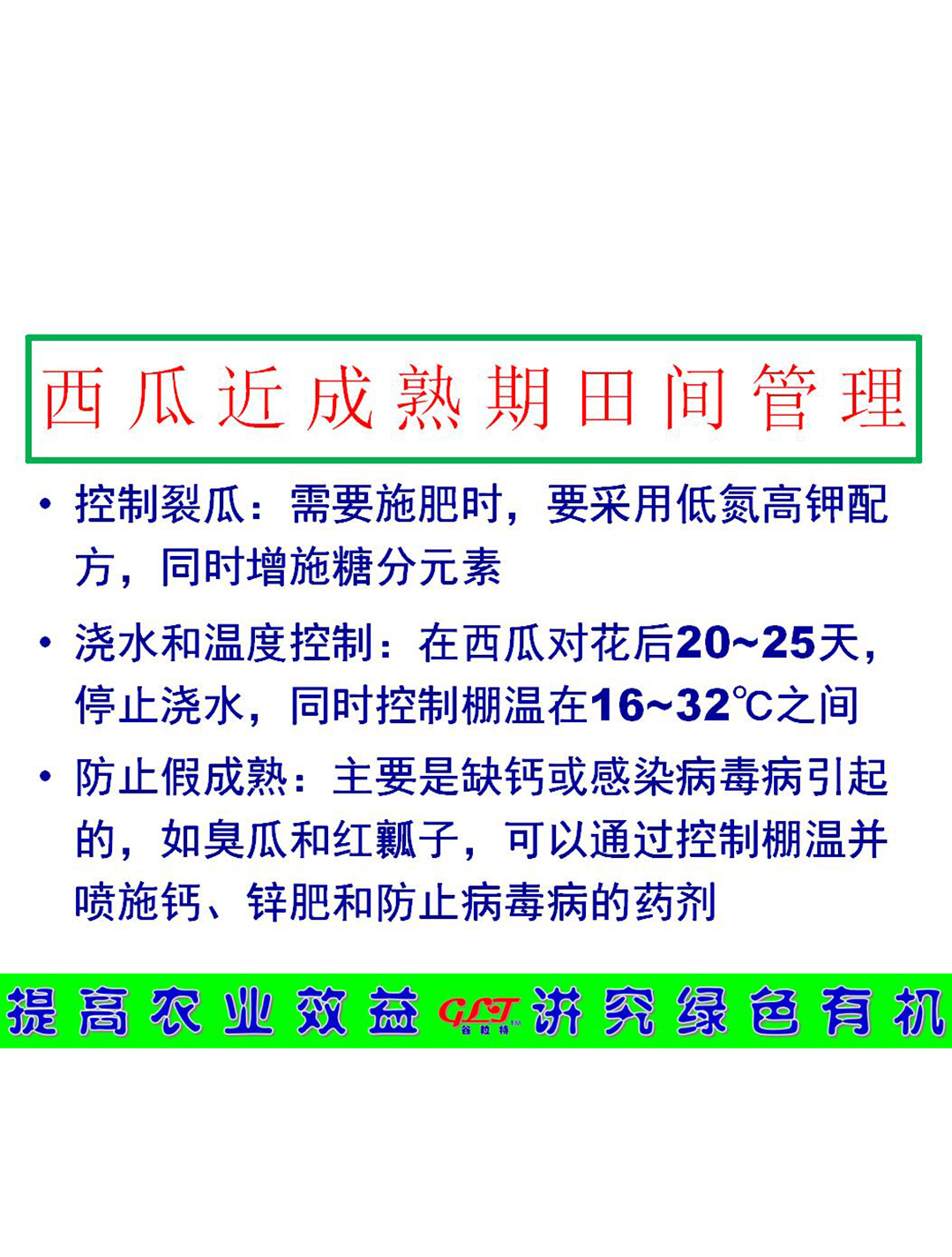 西瓜近成熟田間管理