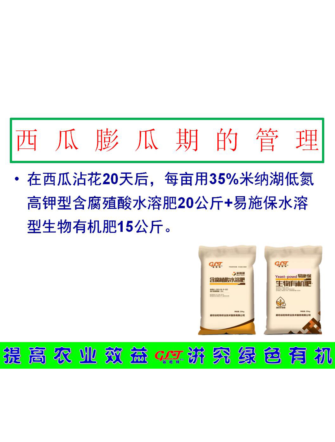 西瓜膨瓜期的管理