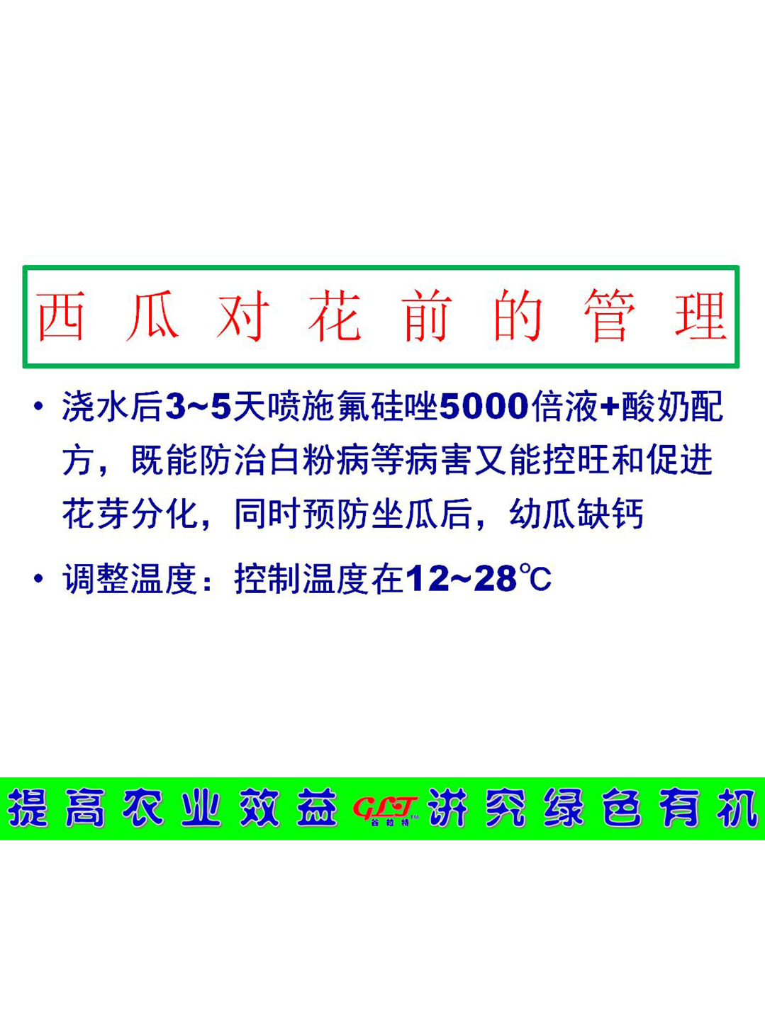 西瓜對花前的管理