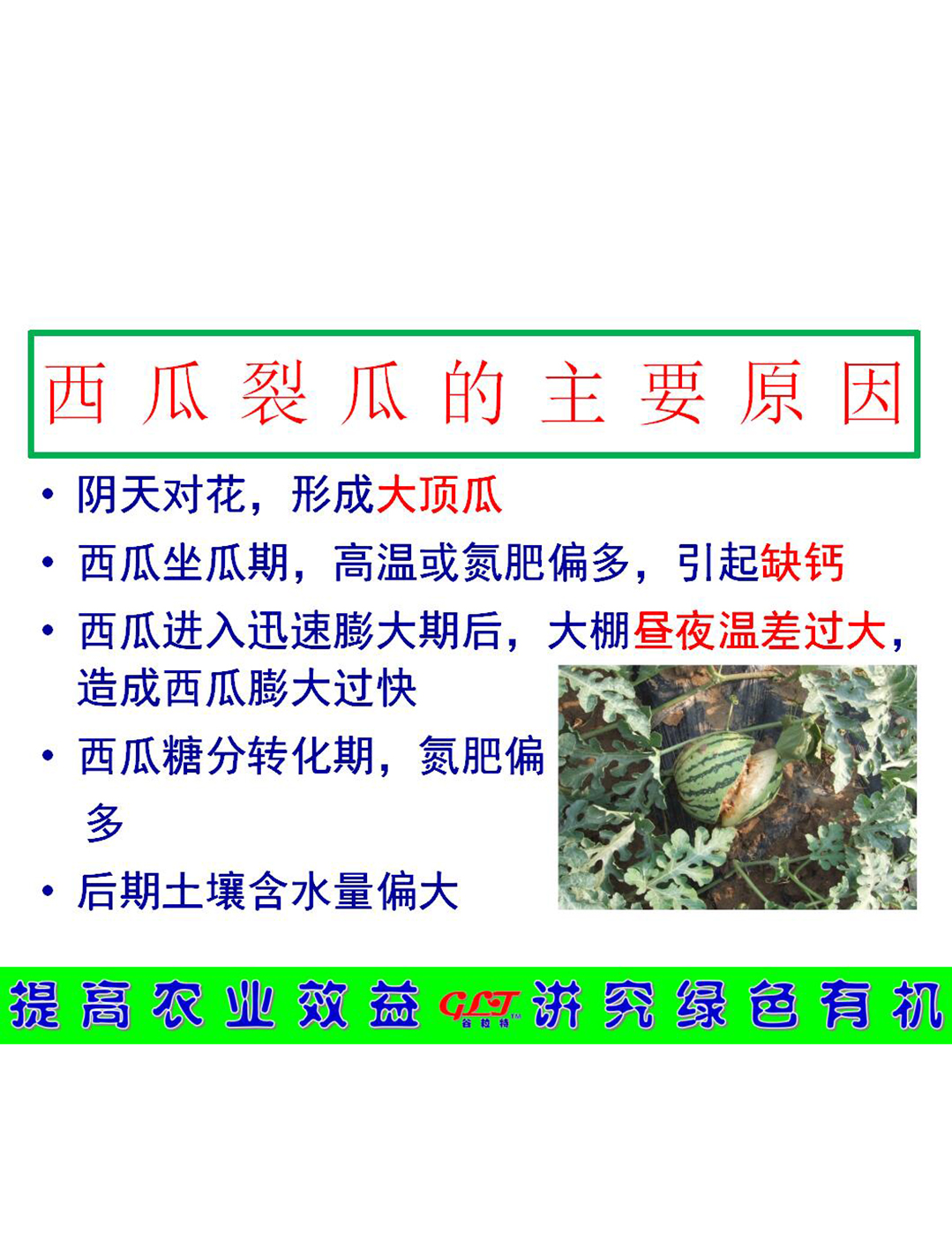 西瓜裂瓜的主要原因